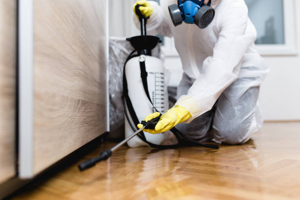 Best Flea Control Services  in Cannon Beach, OR