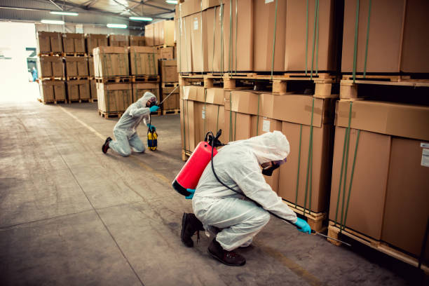 Pest Prevention Services in Cannon Beach, OR