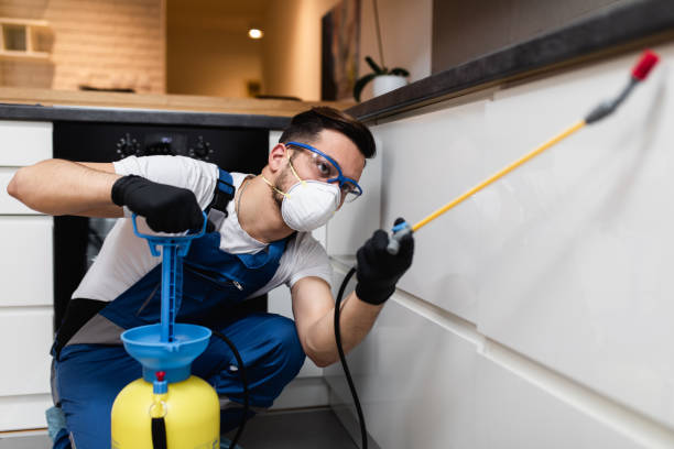 Best Pest Control Near Me in Cannon Beach, OR