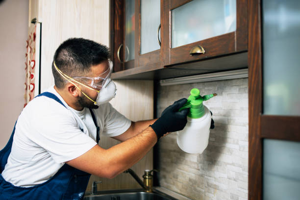 Best Commercial Pest Control Services  in Cannon Beach, OR