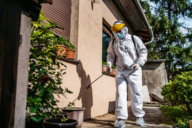 Best Flea Control Services  in Cannon Beach, OR
