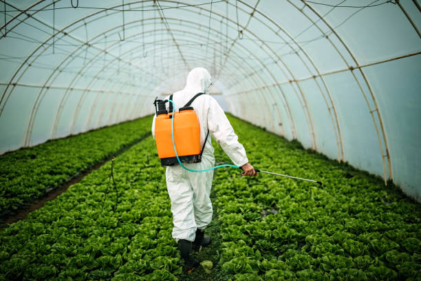 Best Local Pest Control Services  in Cannon Beach, OR