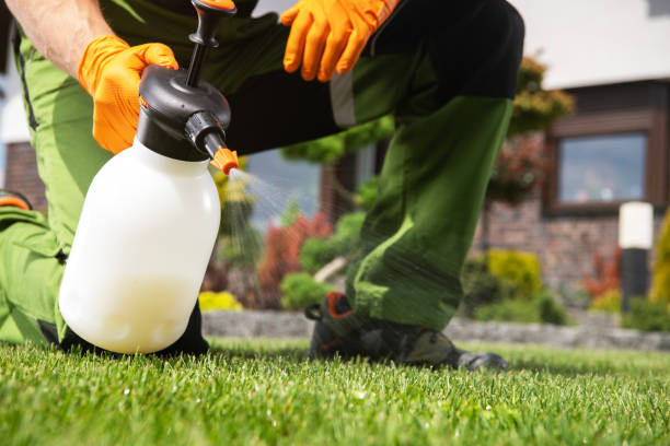 Professional Pest Control in Cannon Beach, OR
