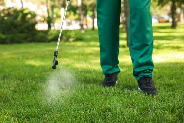 Best Residential Pest Control  in Cannon Beach, OR