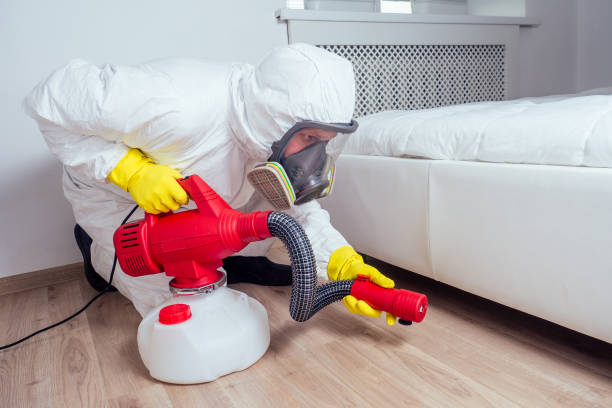 Best Residential Pest Control  in Cannon Beach, OR