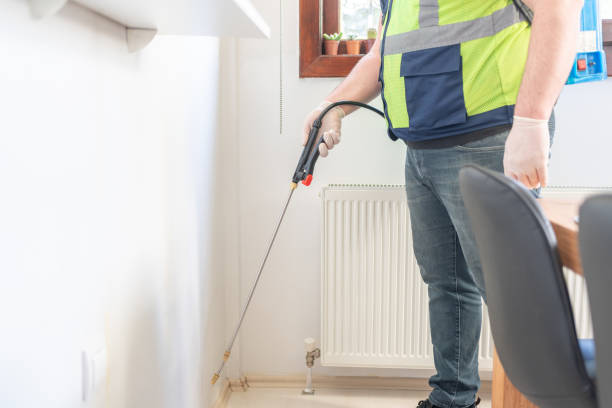 Best Termite Control Services  in Cannon Beach, OR