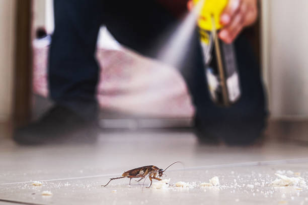 Trusted Cannon Beach, OR Pest Control Experts