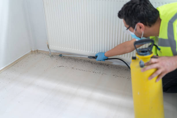 Best Affordable Pest Control Services  in Cannon Beach, OR