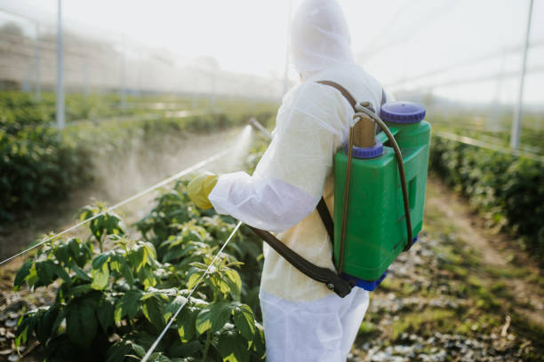 Flea Control Services in Cannon Beach, OR